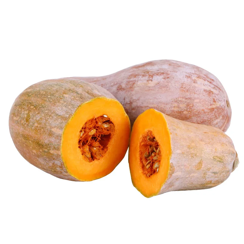 Hot Selling Fresh Chinese Yellow Skin Long Pumpkin