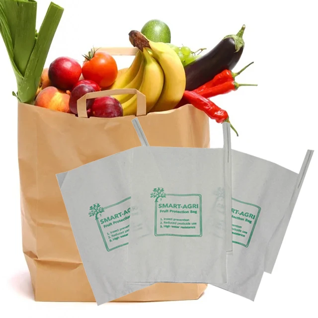 Крафт-упаковка для пищевых продуктов свежий виноградный гуава гранат банан манго бумажный пакет фруктов и овощей с ручками поставщик