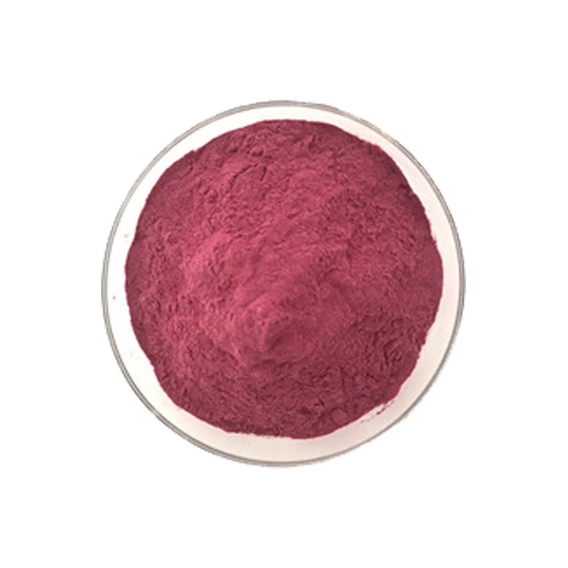 Super Food Red Pitaya Dragon fruit Extract Powder