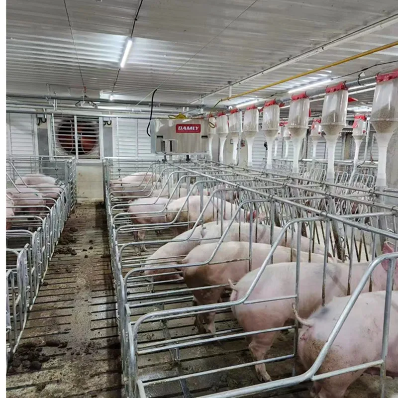 DAMLY Thermostatic Control Direct Fired Chicken House Air Heater for Poultry Farm