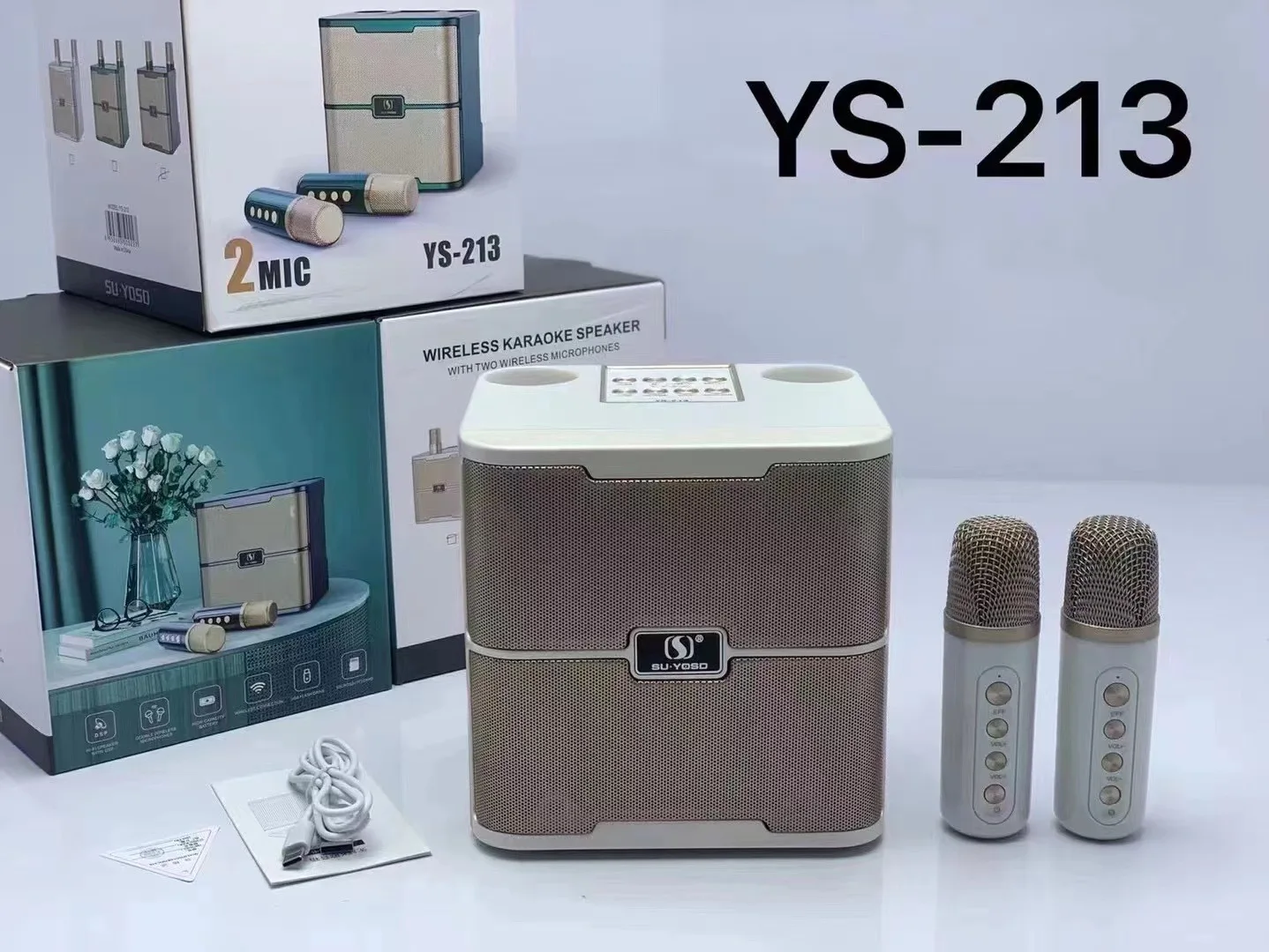 Wholesale Desktop Subwoofer speakers YS213 with dual wireless microphones family KTV BT speaker Portable karaoke speakers