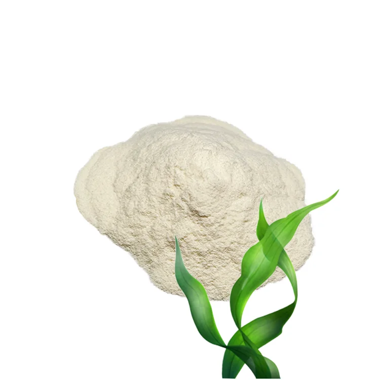 best quality iso 100% factory manufacturers supply Pure dha algal oil powder