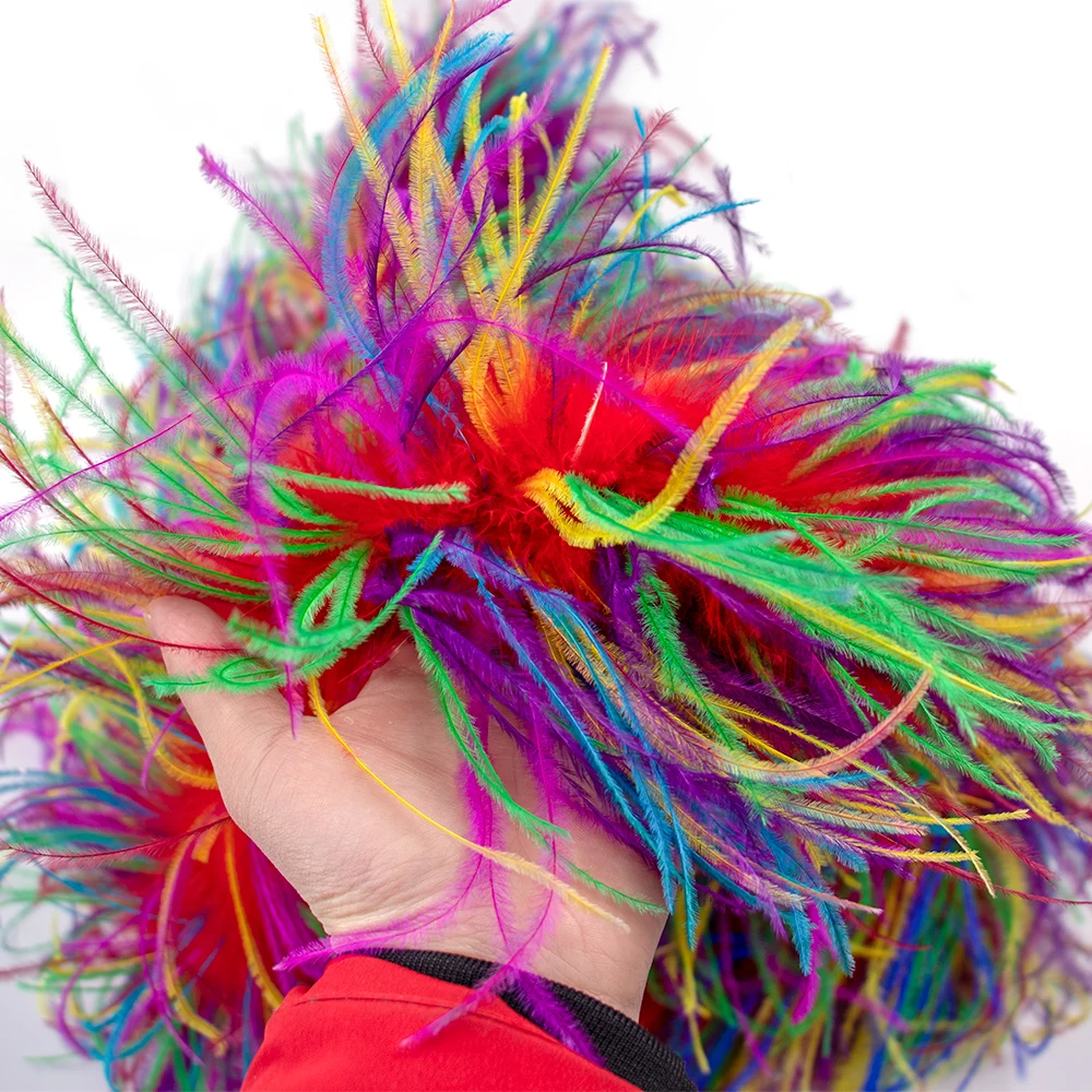 6 Layer Two Tone Ostrich Feather, Craft Sewing Trimmed Hair Bow Wedding Halloween Costume (Rainbow Mix)