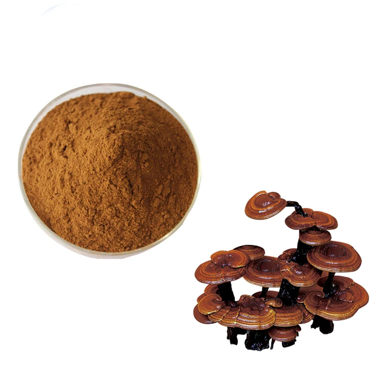Healthcare Herbal Plant Product Reishi Mushroom Extract Ganoderma Lucidum Extract