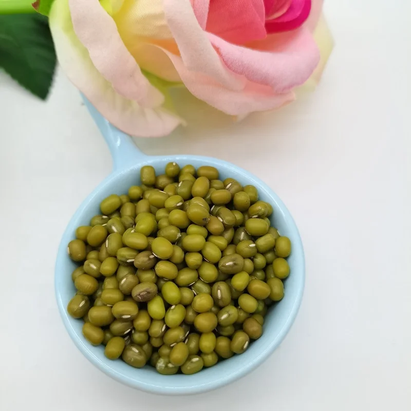 Green Mung Beans / Vigna Mung Beans Premium Quality Conventional Natural Mung Beans Green