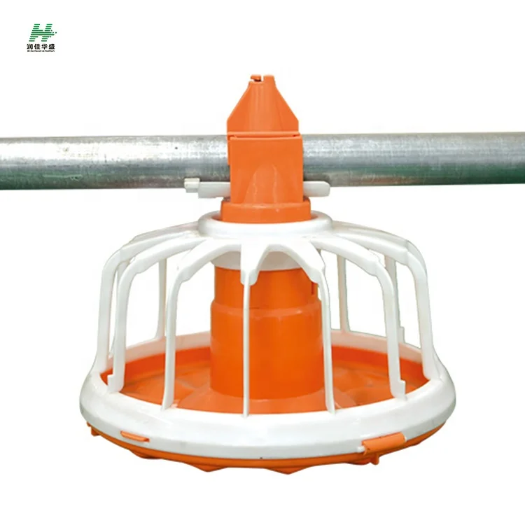 Poultry Farming Broiler Chicken Automatic Raising Equipment