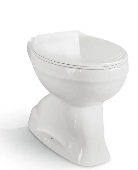 Bathroom washdown two piece toilet without water tank