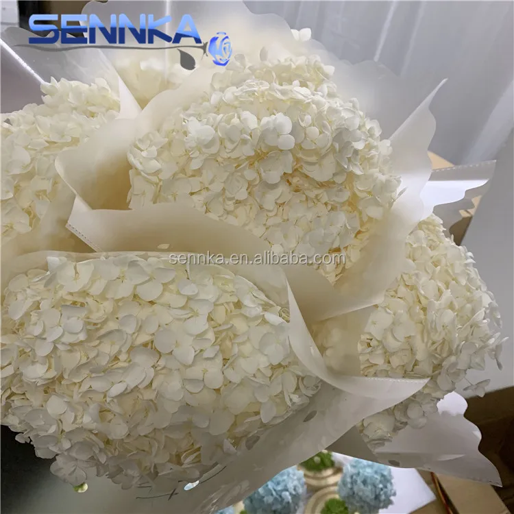 Preserved Long Stem Hydrangea Flowers Cut Fresh Flower For Wedding