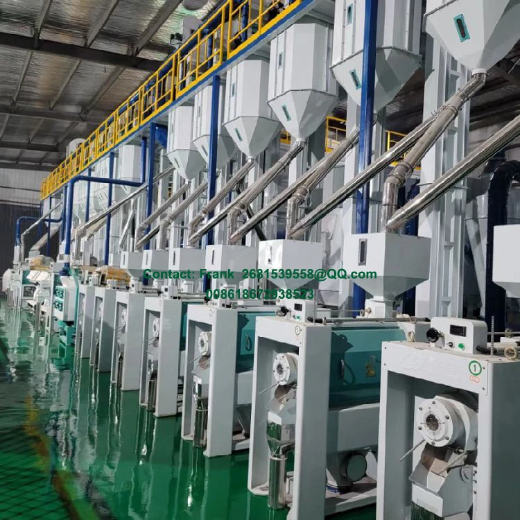 Whitener MNSW18-5-CLJ