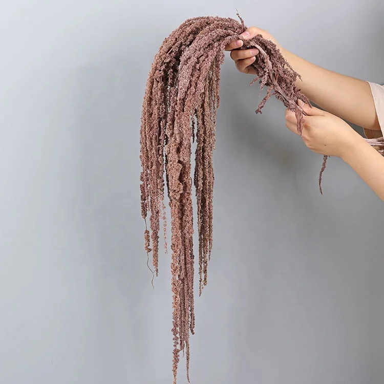 Hanging Rice Wholesale Lover Tears Roulisi Hanging Rice Long Spike For Wedding Hotel Decoration