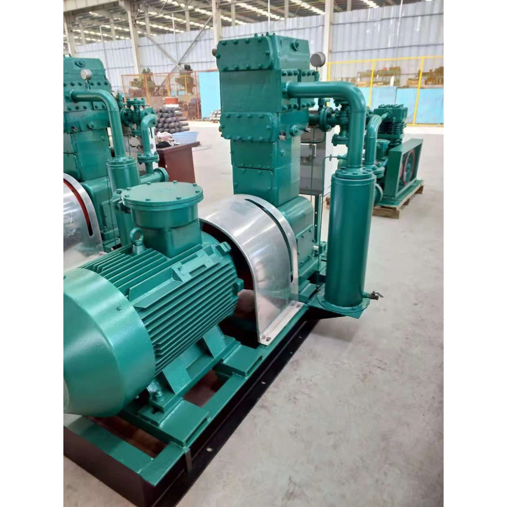 CNG/ LPG / LNG Compressor Nitrogen Compressor (Zw-2.6/10-16)