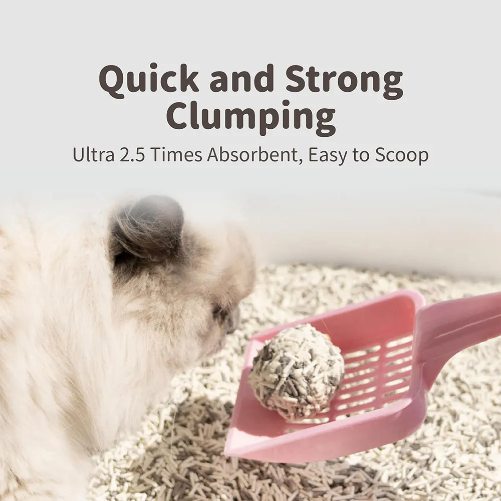 Factory wholesale cat cleaning supplies plant health dust-free and non-stick plant starch cassava cat litter
