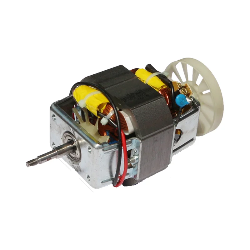 China High Quality New Products 2021 220-240v 50/60hz Synchronous Mixer Engine Ac Universal Motor