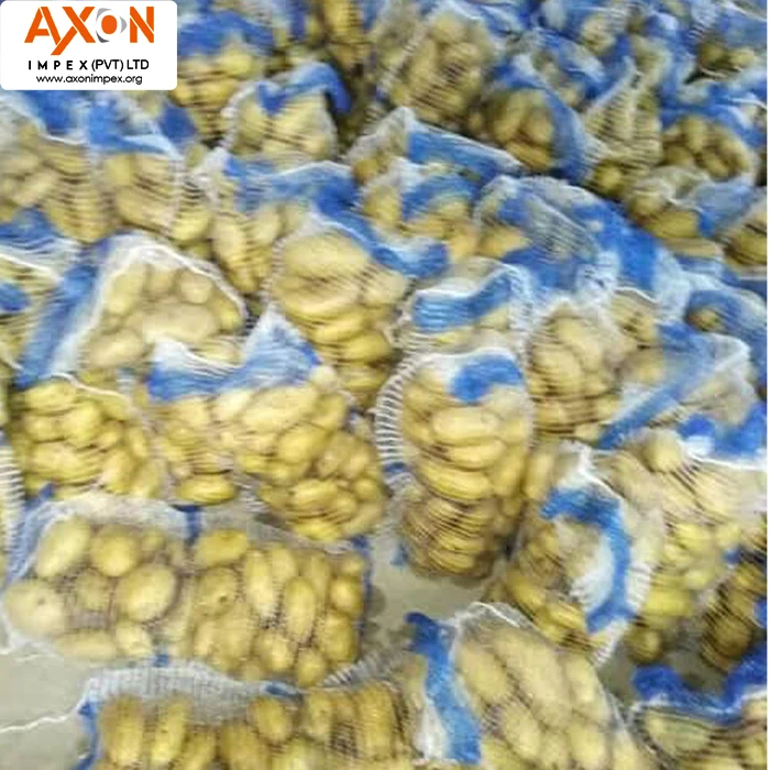 Пакистанский свежий картофель, прямой поставщик из Пакистана/длинный картофель