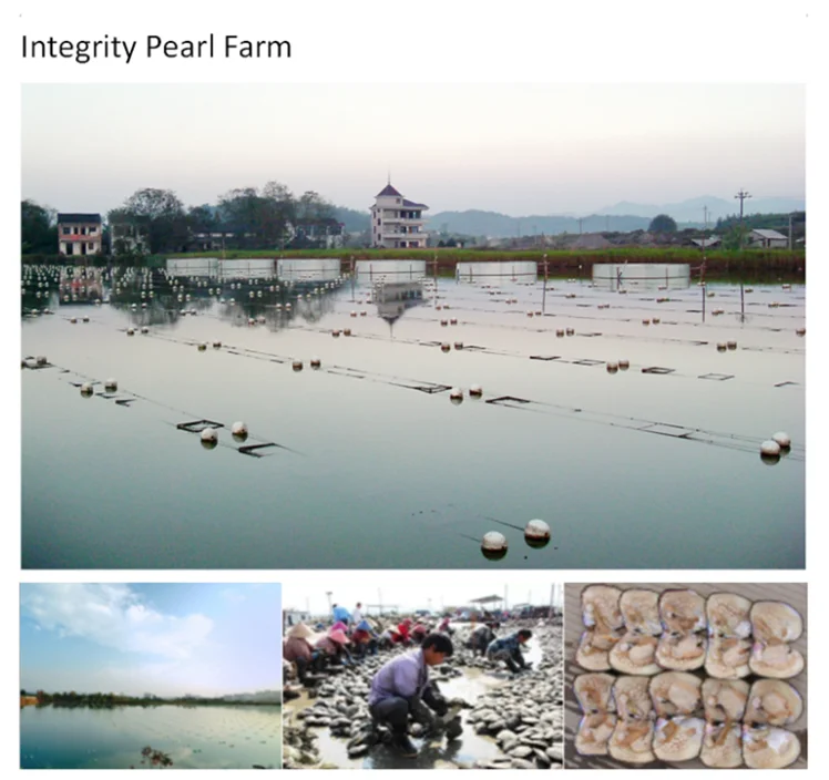 10 мм Оптовая Продажа свежей воды perlas возле круглого большого размера с большими отверстиями, кулоны А-натуральным жемчугом ожерелье из пресноводного культивированного по оптовым ценам строка strand бусины