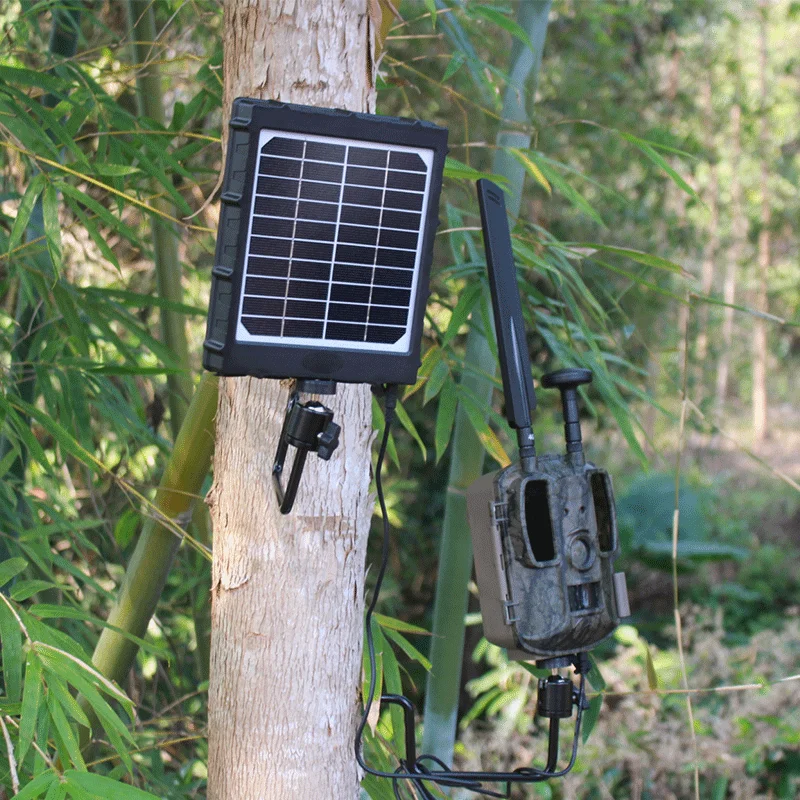 3W 8000 mAh Solar Panels for Wildlife Scouting Cellular Game Trail Cameras with 5/6/9/12V External Rechargeable Battery