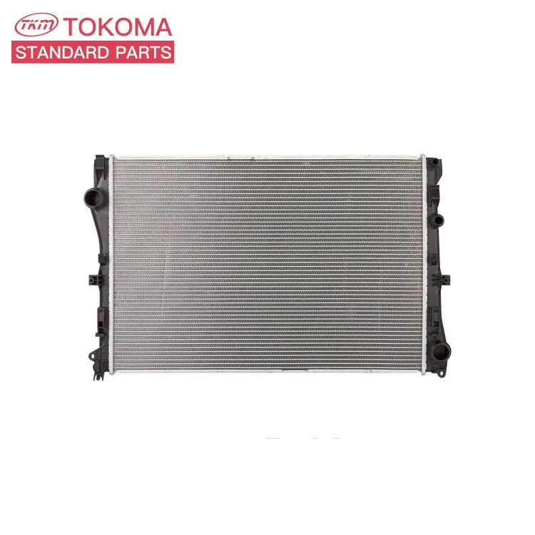 Auto Parts Cooling System Electric Radiator Cast Iron Radiator for BENZ C-CLASS W202 C220 CDI 2025005603 2025006403