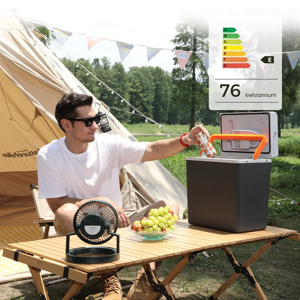 30l Electric Car fridge Cooler Box Warm And Cold Low Noise Ac Dc 12v For Home Rv