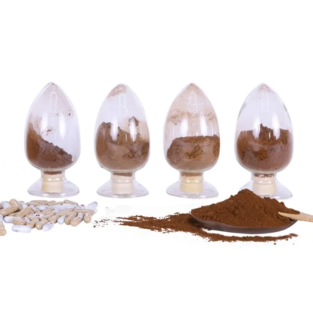 Mushroom Extract of Reishi/ Cordyceps Militaris/ Lions Mane Mushroom Blends