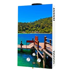 Professional 6 Liter Instant Battery Ignition LPG Gas Geyser Water Heater Manufacturer