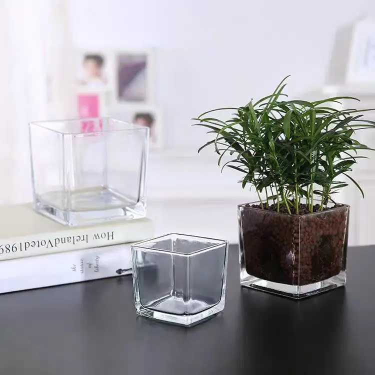 Wholesale Modern Machine Made Wide Mouth Square Cube Transparent Plant Fish Glass Flower Vases