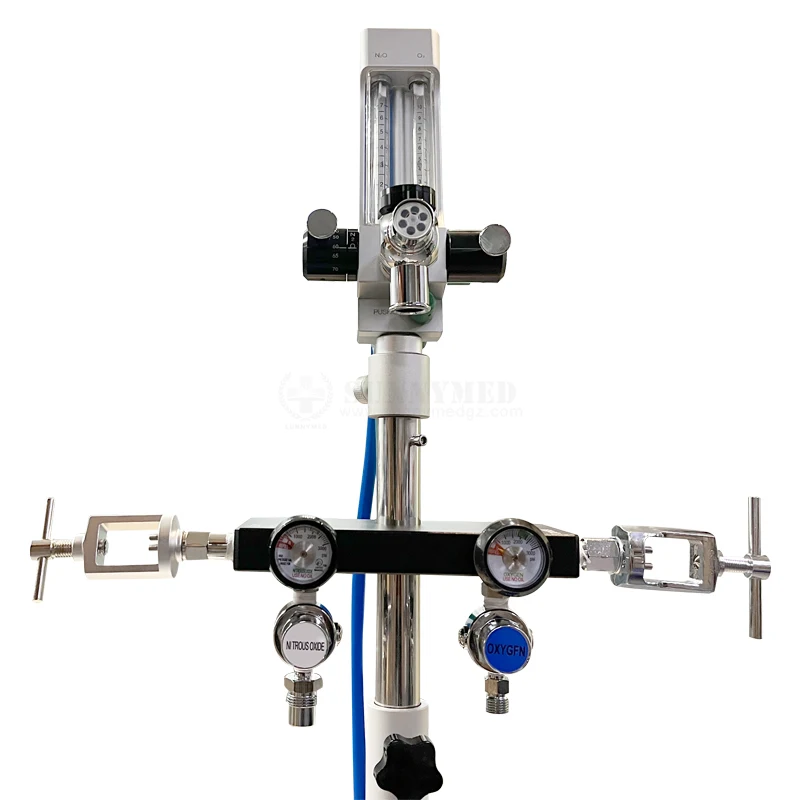 SY-E016 dental unit 580g laughing gas canister n2o dental nitrous oxide sedation system machine
