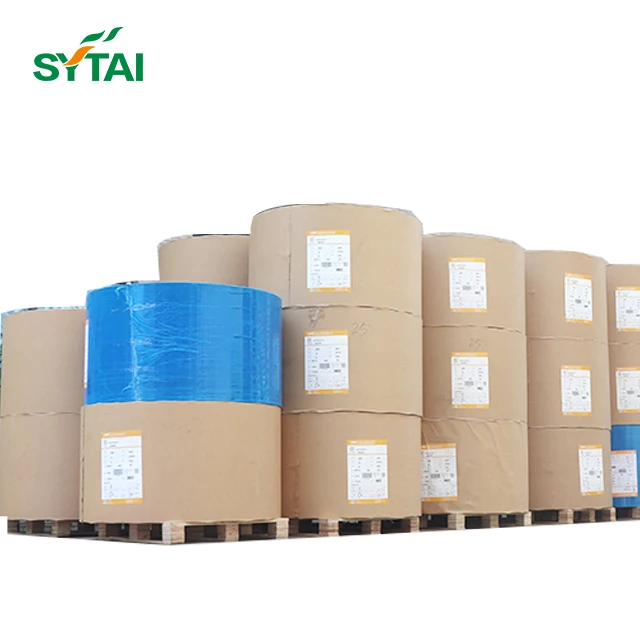 Food Grade Single Wall Double Wall PE Coated Paper Raw Material Paper Cup Roll