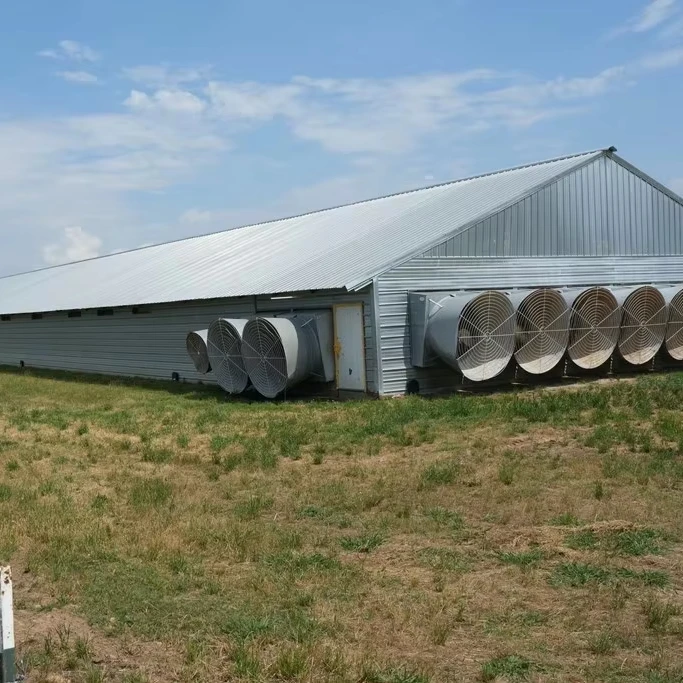 Steel Structure Cows Farm Building Prefabricated Steel Structure Cows Farm