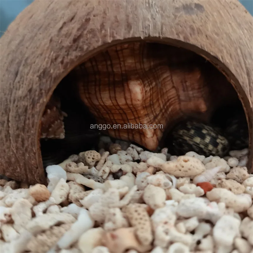 Parrot Bird Hamster Landscape Decor Lizard Spider Gecko Crawling Pet Shelter Hermit Crab Pet Supplies Coconut Shells Pet Nest
