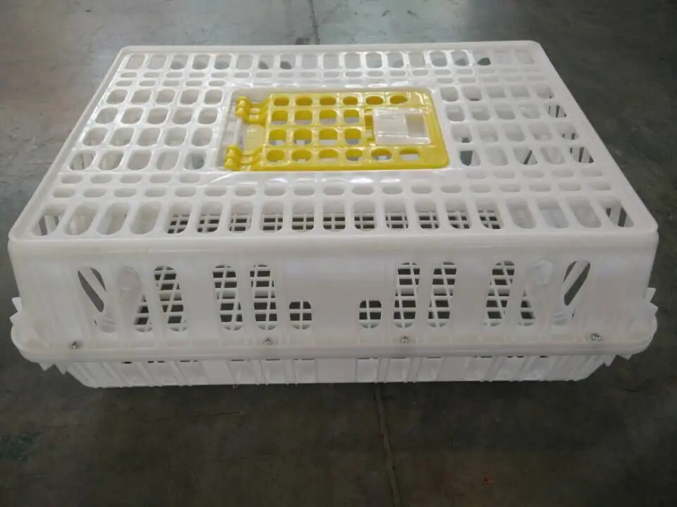 2025 Hot Selling Animal & Poultry Husbandry Equipment Chick Transport Box for Layers Broiler Chickens