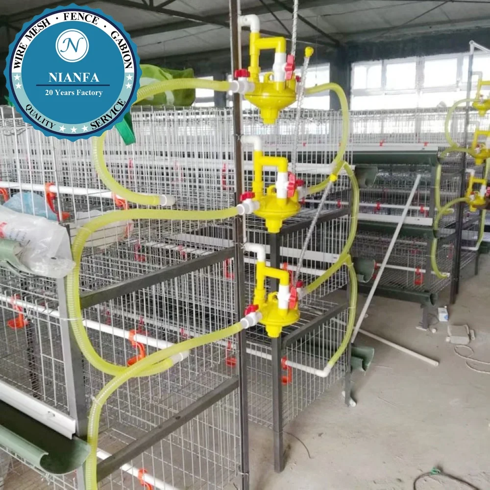 A Type 120 128 160 Birds Capacity Egg Layer Chicken Cage for South Africa Kenya