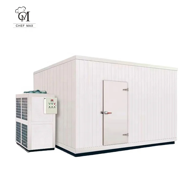 Commercial Customize vegetable refrigerator fruit cold storage room freezing room cold storage units for sale