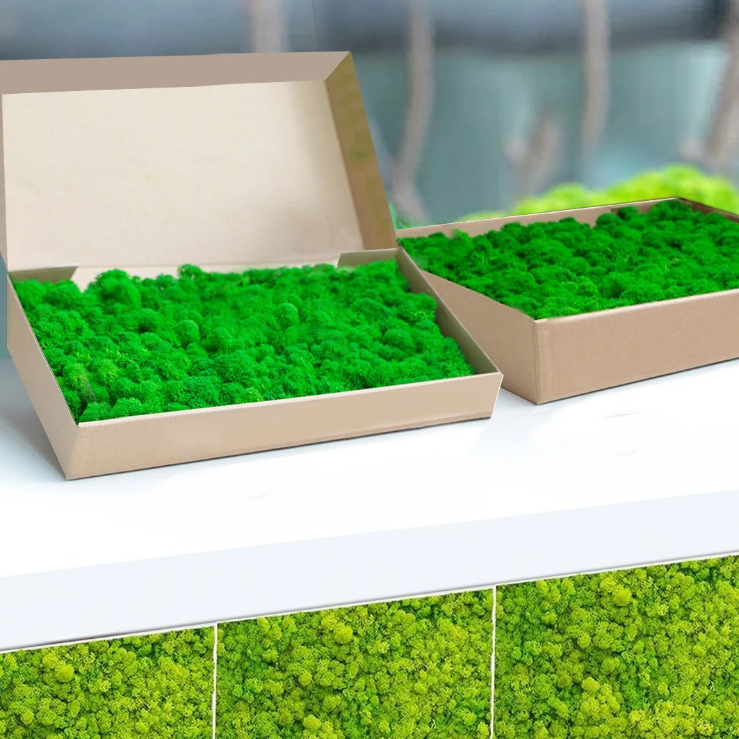 Hflora Preserved Moss Home Wedding Wall Decoration Reindeer Moss Stabil Natural Stabilized White Hair Moss Wall Panel Decoration