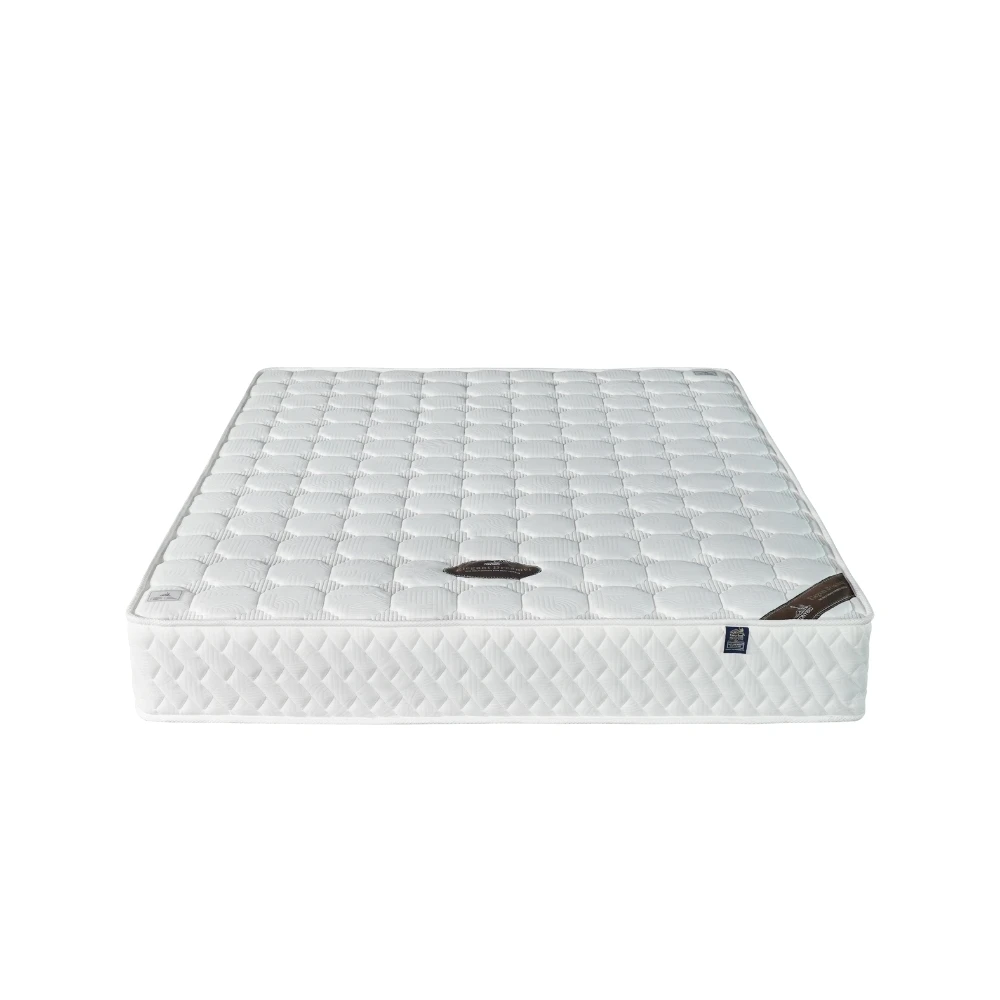 2024 Mattress Version Good Price High Quality Customization PVC Plastic Cover Latex Made In Vietnam Manufacturer Fast Delivery