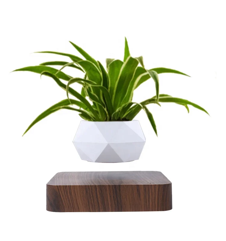 2024 Hot Selling Home Garden Planters Cheap Wood Magnetic Levitation Floating Flower Pot for Indoor Outdoor Nursery Display