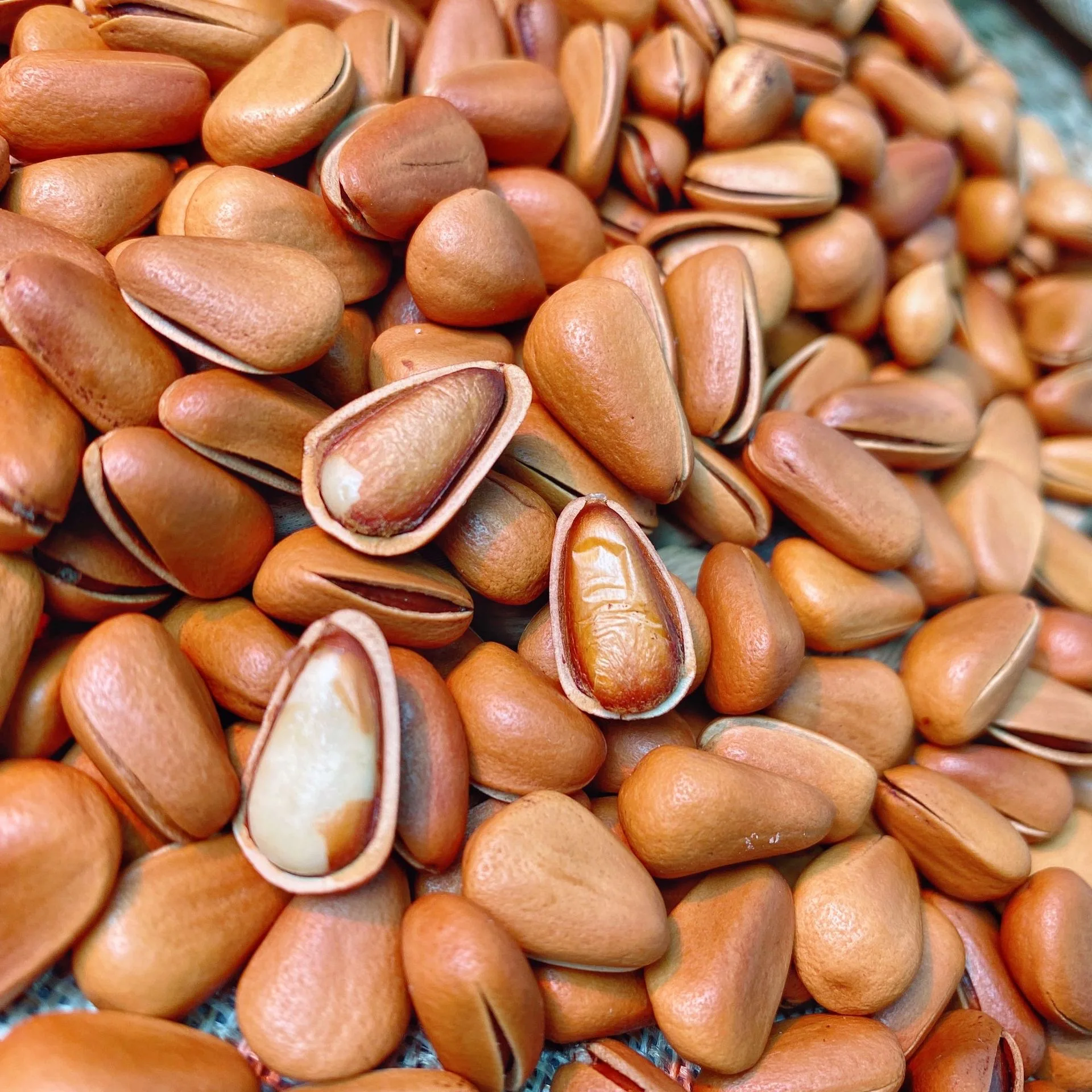 Food Grade 100% Natural Organic Chinese Wholesale Pine Seeds Nuts In Shell Kernels Pine Nuts For Sale