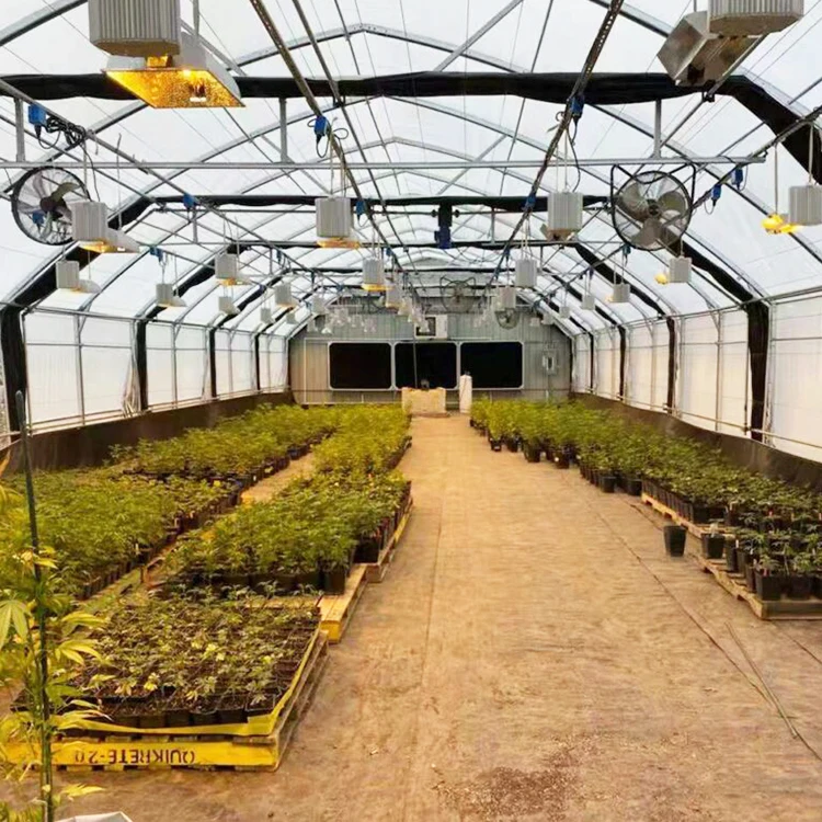 Vegetable Fruits Flowers Blackout light Deprivation Green House Plastic Film Tunnel Blackout Greenhouses for Medical