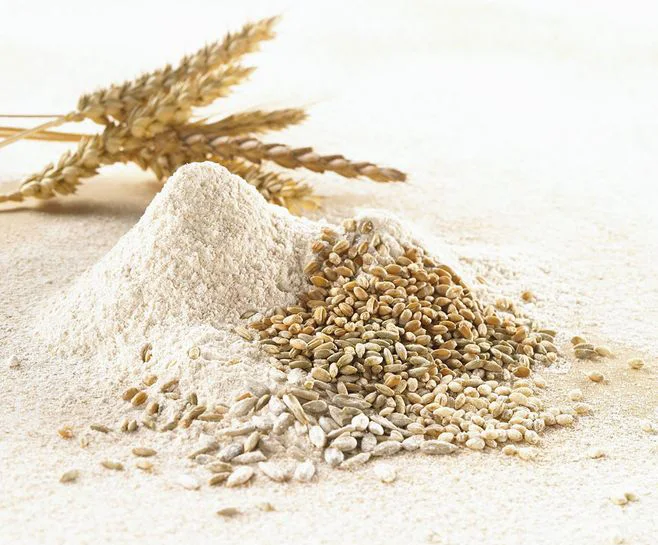 wholesale made from high-quality wheat added to the poor gluten flour for the production of bread flour Vital Wheat Gluten