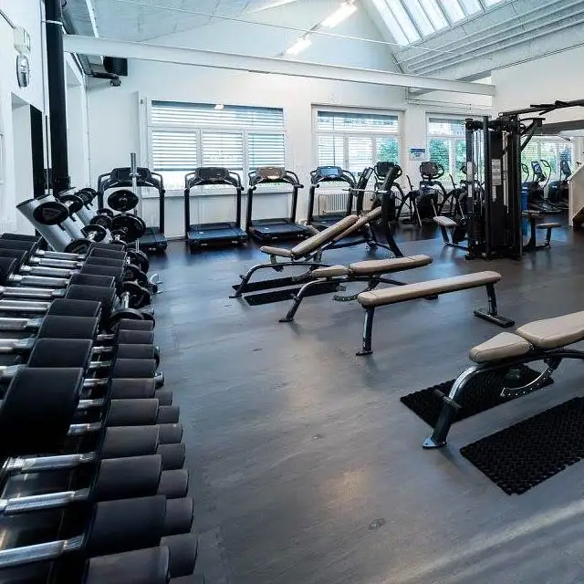 home hotel and gym fitness equipment rubber floor