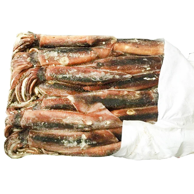 Low price fresh sea frozen ocean squid illex whole round squid frozen raw squid