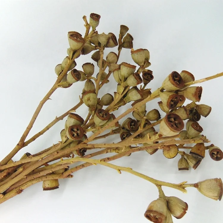 berries wholesale berries flower bouquet for wedding table centerpieces Eucalyptus fruit