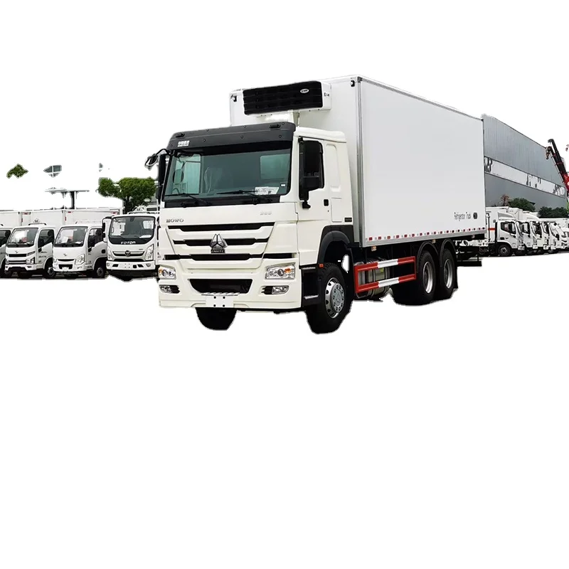 HOWO 6x4 6x6 RHD переноска термо король свежих фруктов мясо морепродукты мороженое холодильник грузовик