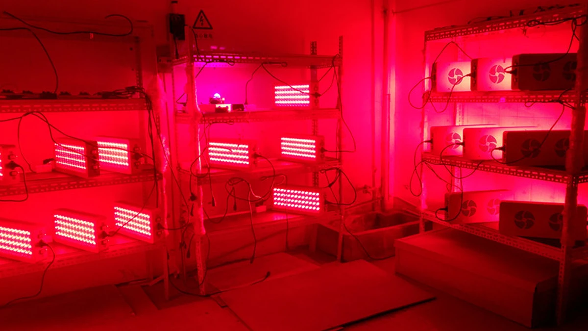 Pdt Beauty Light Therapy Red Lamp Led Infrared Light Therapy Panel Desktop 300w Arthritis Pain Relief