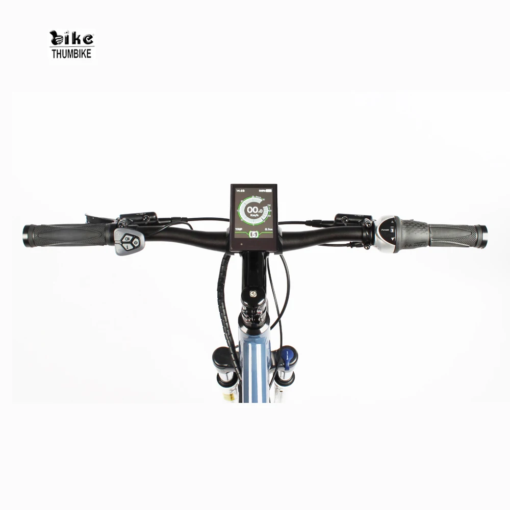 250W 36V  China Factory 9 speed electric city bike adult mid belt drive ebike