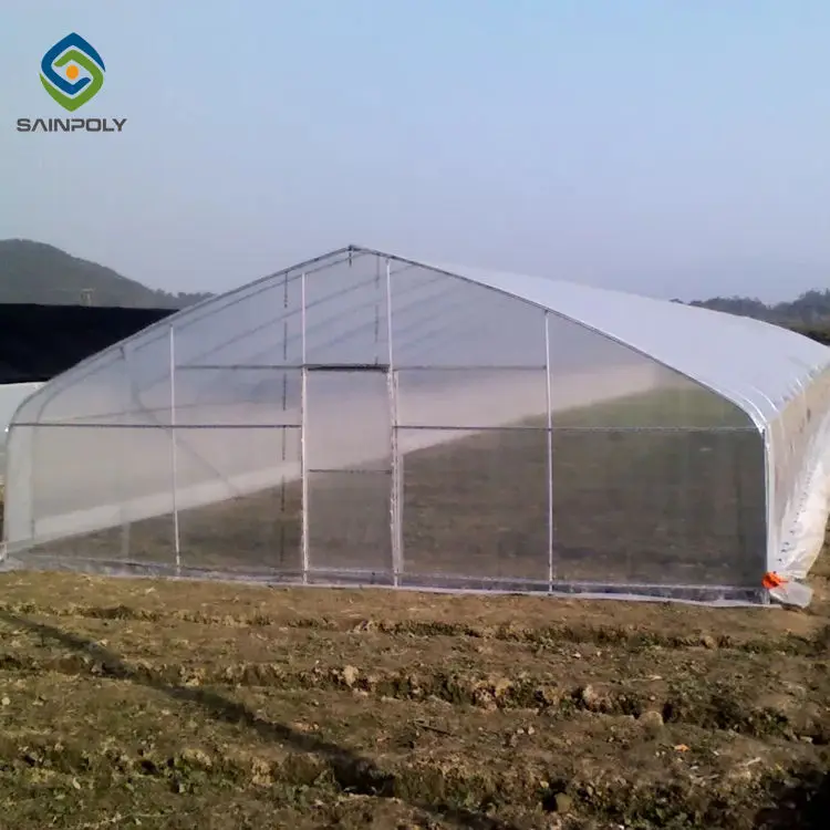 Hot Sale Sainpoly Economical Tunnel Greenhouse Design for Growing Vegetables