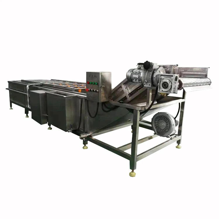 High efficient pumpkin seed food washing machine by air bubble and fruit ozone washer leafy vegetable fruits bubble cleaner