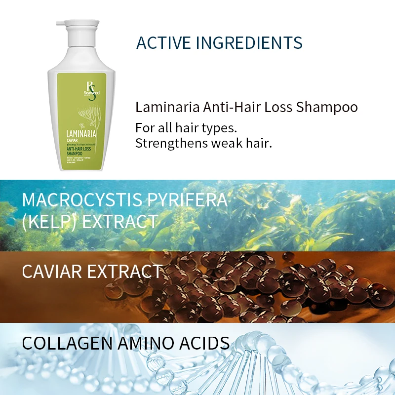 Wholesale 100 Moq Natural Organic Seaweed Hair Shampoo And Conditioner For Moisturizing Oil Control