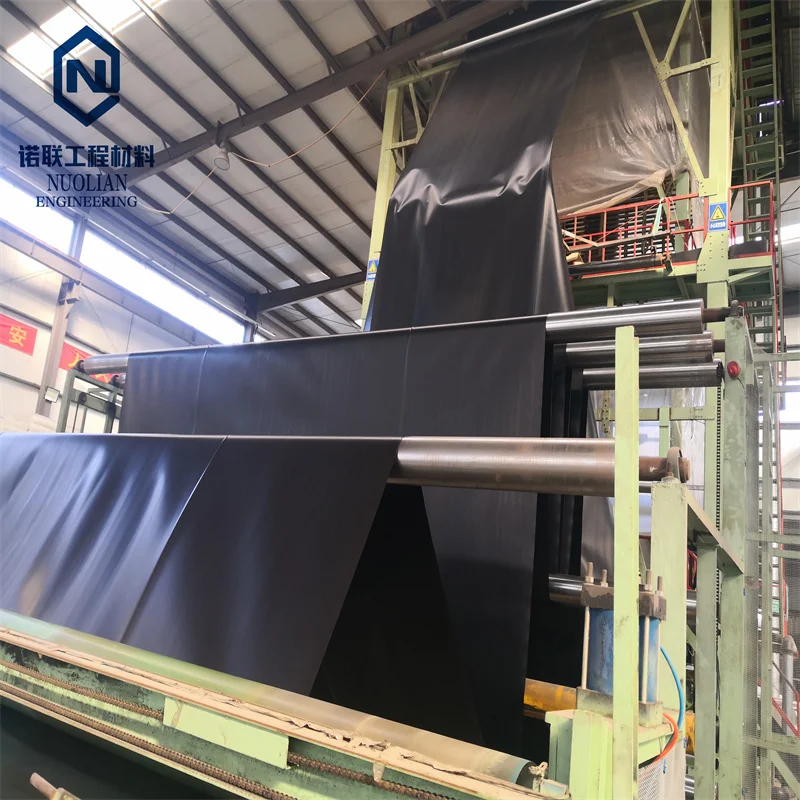 Waterproof Geomembrane Plastics Membrane Guangdong for Sale