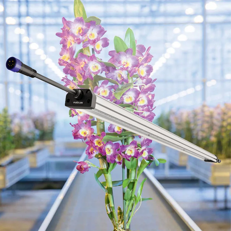 Full Spectrum Indoor Plant 40W 65W Quantum LED tube LED Grow Light tube Grow Lights Uv Ir Lm301b