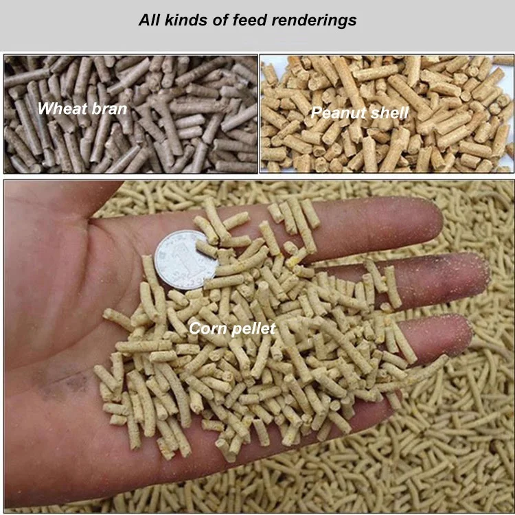 Poultry Granulator Feed Pelletizer Machine For Animal Feeds Chicken Pig Goat Cattle Cat Feed Pellet Making Machine